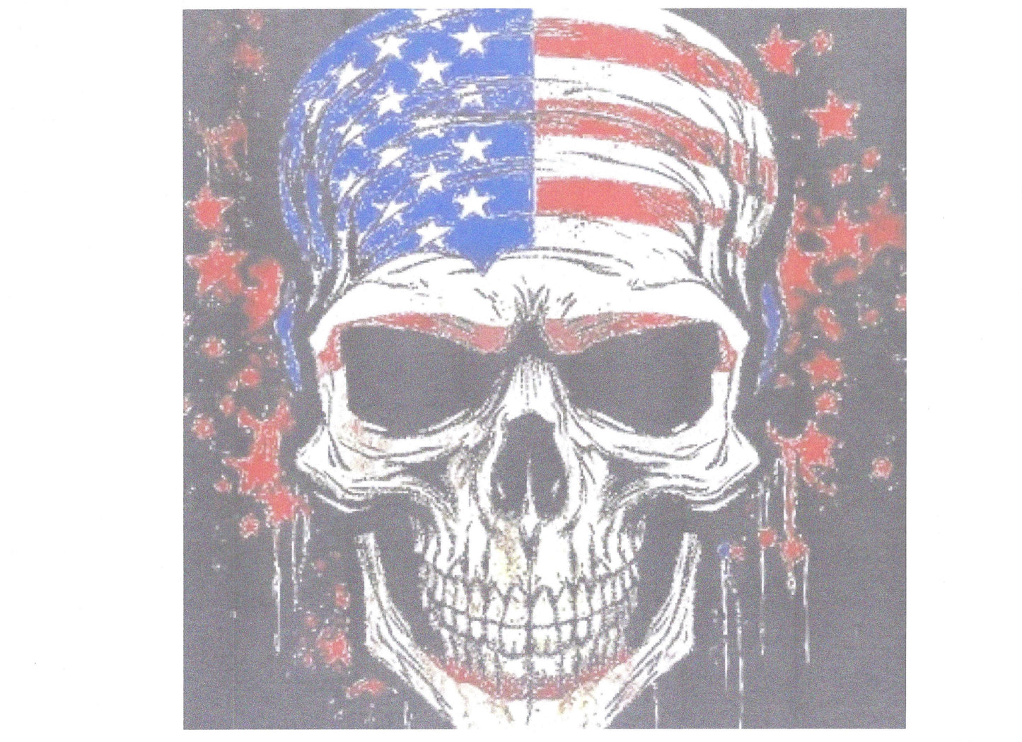 AMERICAN SKULL FLAG