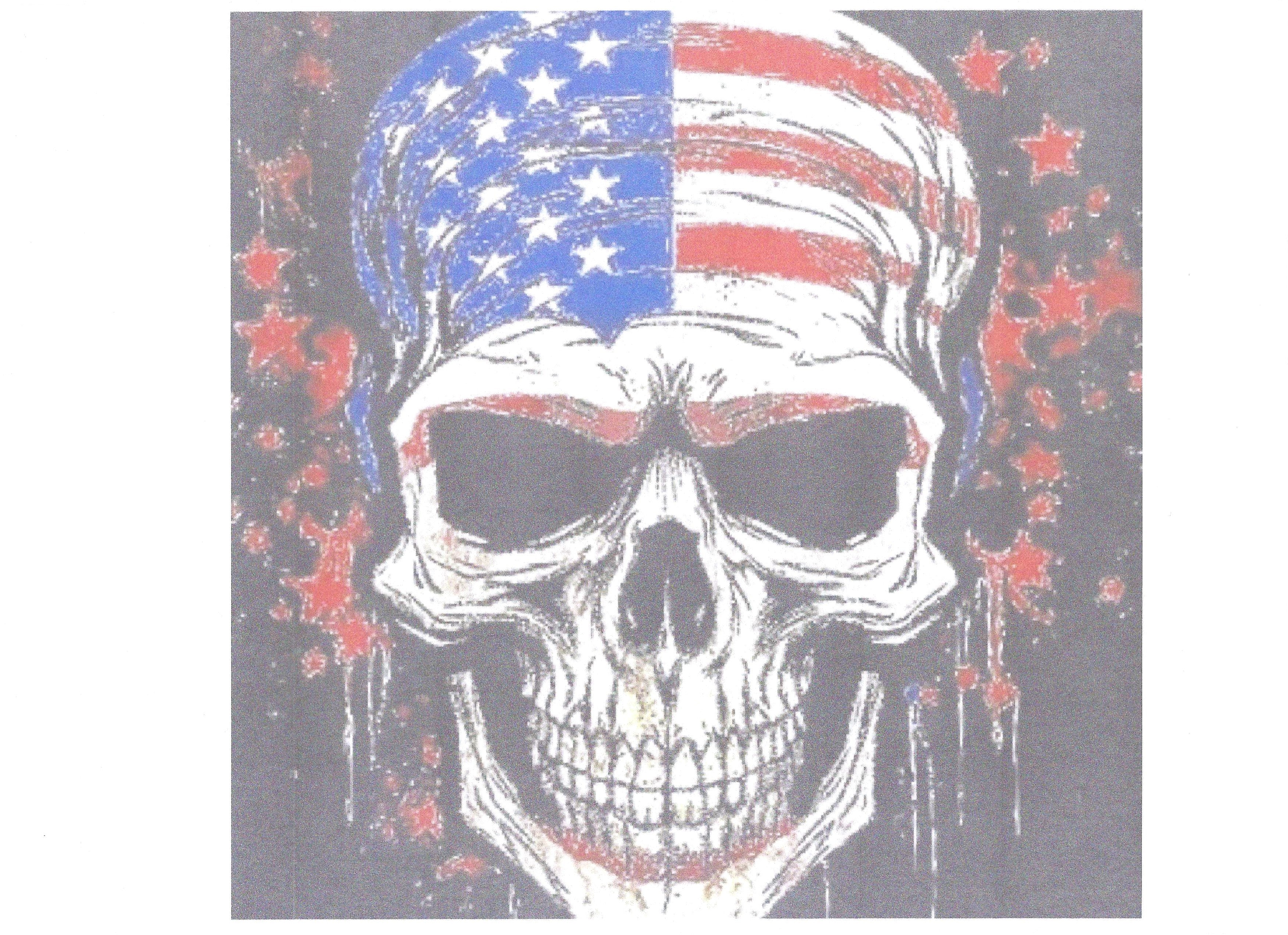AMERICAN SKULL FLAG